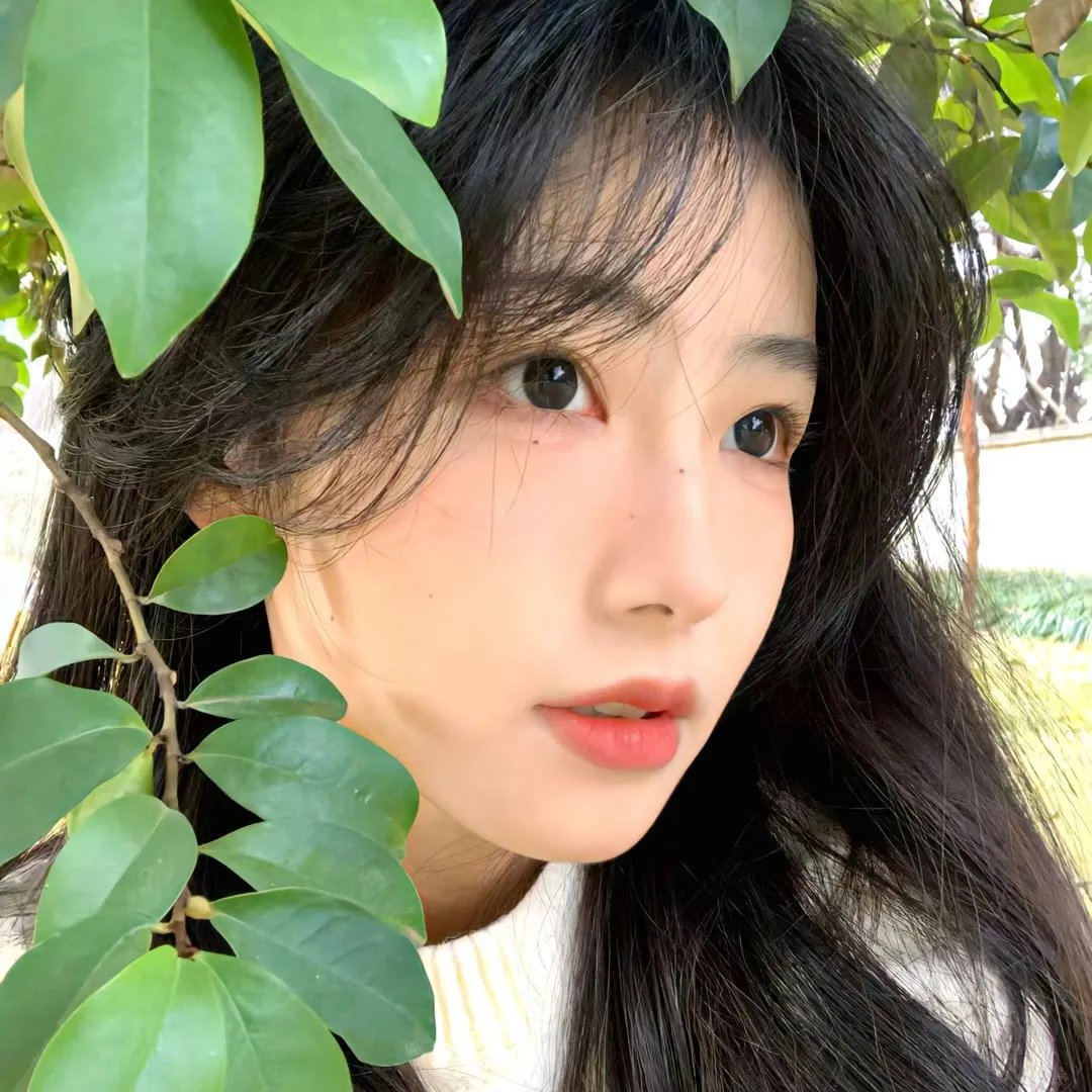 朝朝暮暮终有归